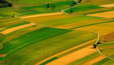 Кількість угод на ринку землі перевищила 1 тисячу