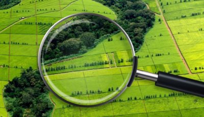 У «Фонді аграрних інвестицій» очікують на 1 млрд грн від оренди держземель