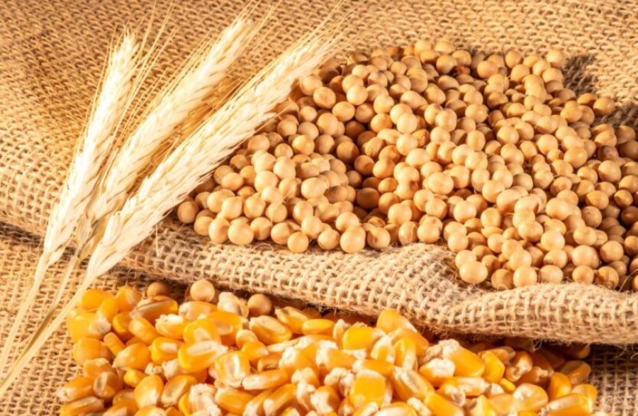 Україна за півроку збільшила експорт агропродукції до Євросоюзу на 8%