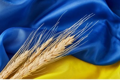Канада може взяти участь у програмі Grain from Ukraine