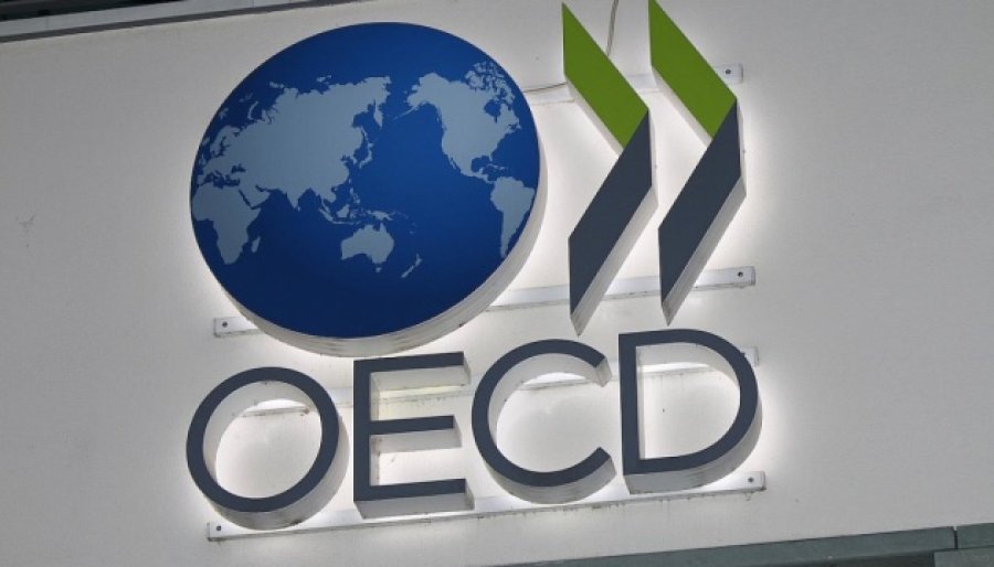 ОЕСР покриє внески України за 2024 рік з власного бюджету
