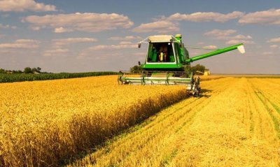 Непрямі збитки агросектору через війну сягнули $35 млрд