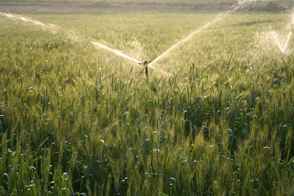 Рада ухвалила закон про державних операторів меліоративних систем