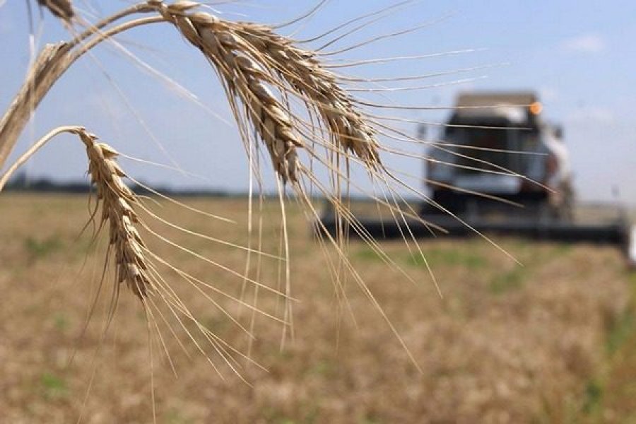 Аграрії отримали пільгових кредитів на 62 млрд грн