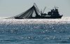 Україна втрачає торговий флот через відібраний в росіян Промінвестбанк