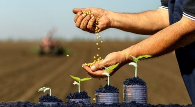 В Україні запрацював Фонд часткового гарантування кредитів в сільському господарстві