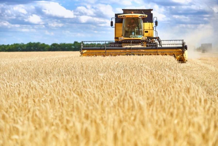 Українські аграрії отримали цьогоріч понад 280 млн грн грантової підтримки