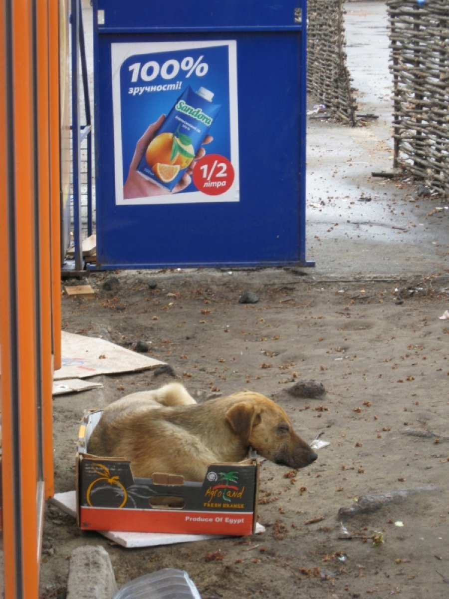 Банки предлагают &quot;удобные&quot; условия новой ипотеки