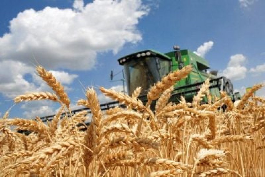 Аграрії отримали 21 млрд грн пільгових кредитів з початку року