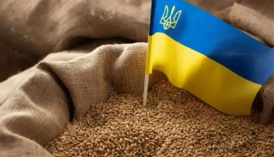 Україна підтримає Сирію гуманітарною програмою