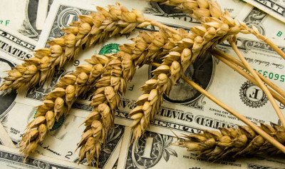 Україна у серпні збільшила експорт агропродукції