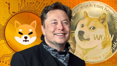 Криптовалюта Shiba Inu обігнала Bitcoin