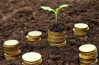 Банки спрямували бізнесу пільгових кредитів ще на 2,7 млрд грн