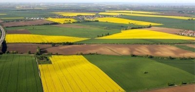 Юрособам вперше дозволили купувати землю для агробізнесу