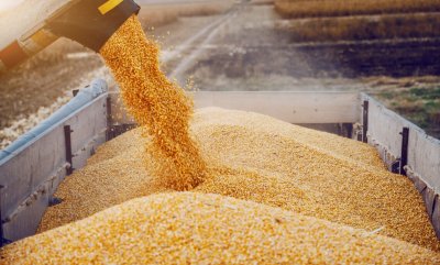 ЄС готується запровадити мита на імпорт зерна з росії та білорусі