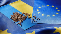 У Мінекономіки оцінили втрати через скасування «торговельного безвізу» з ЄС у майже 3 млрд євро