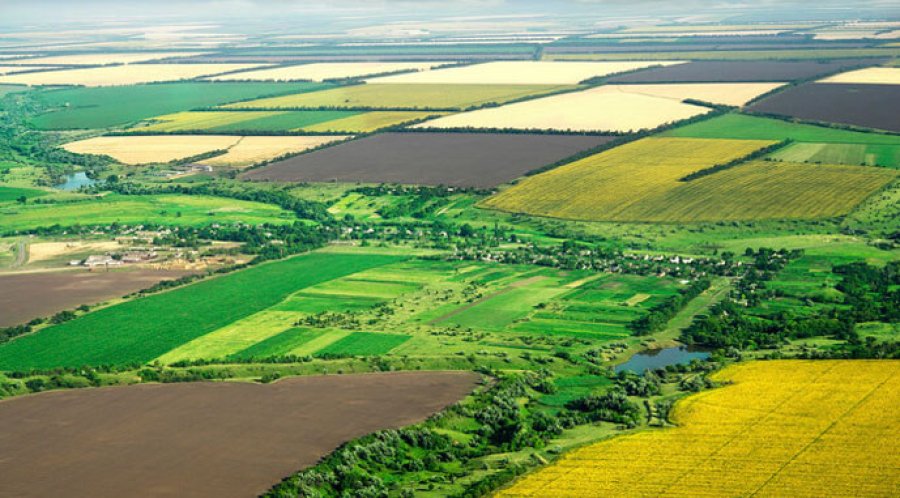Земельні аукціони поповнили бюджети на 1 млрд грн