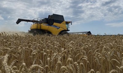 Компанія агрохолдингу «ІМК» отримала 100 млн грн кредиту