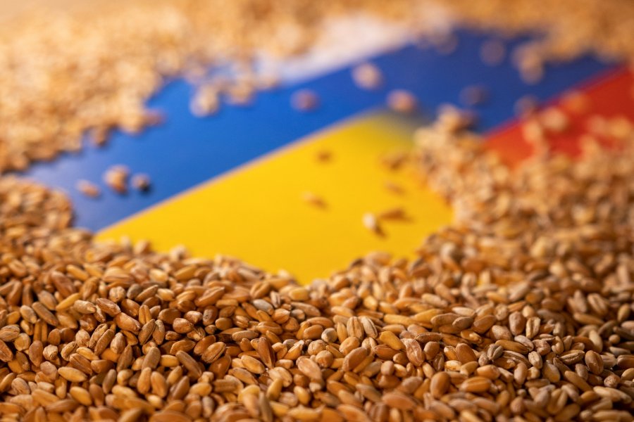 Україна запускає програму для запобігання голоду у світі
