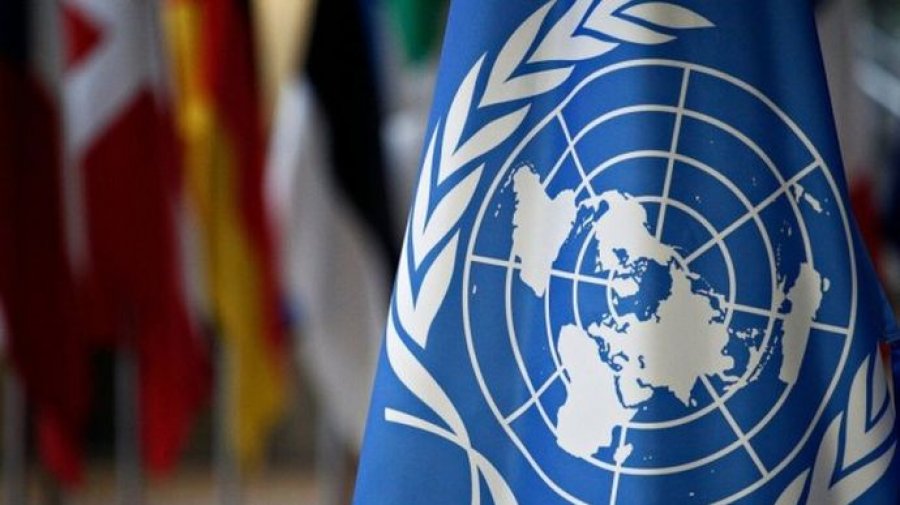 ООН виділив українським волонтерам ще $20 млн