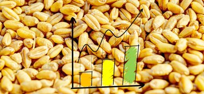 Індекс продовольчих цін знизився на 2,3%