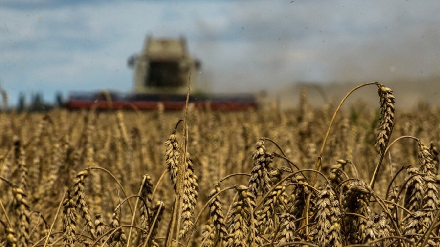 Аграрії отримали пільгових кредитів на 38 млрд грн з початку року