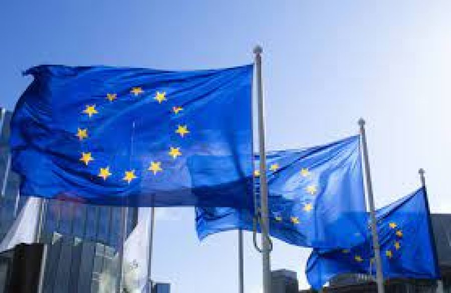1,1 млн українських біженців знайшли роботу в ЄС