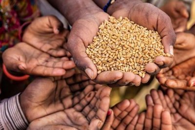США готують допомогу на $11 млрд для запобігання глобальному голоду