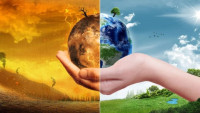 Глобальна зміна клімату загрожує українському врожаю